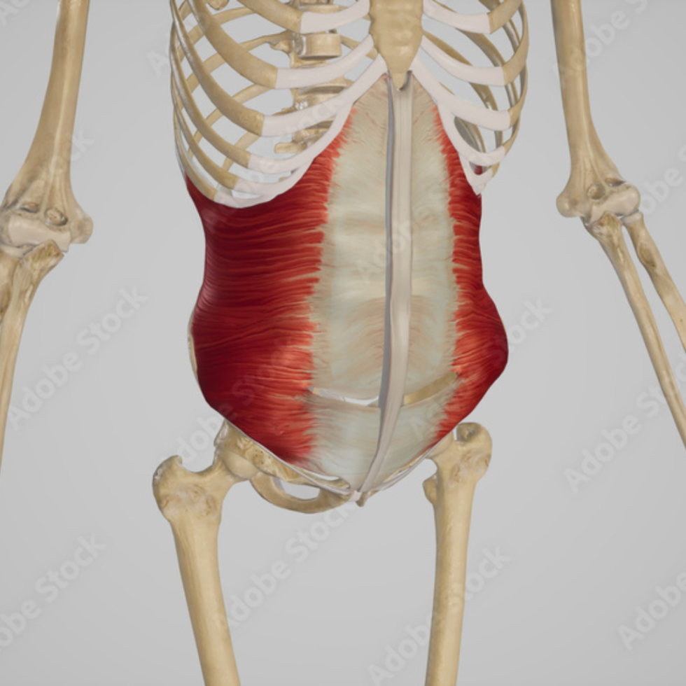 What is your ‘Core’? - Kamloops Physiotherapy